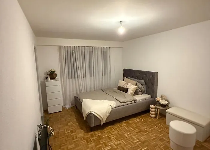 Apartment Confortable Aigle